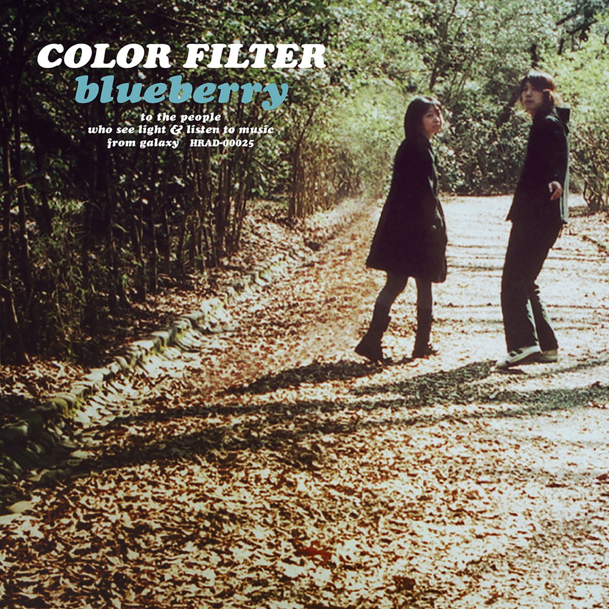 Песня filter. Color Filter Blueberry album. Song of the North.