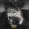 Sensiz (Saz Instrumental Beat) artwork