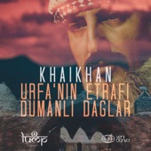 Urfa'nın Etrafı Dumanlı Dağlar artwork