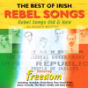 The Best of Irish Rebel Songs - Freedom