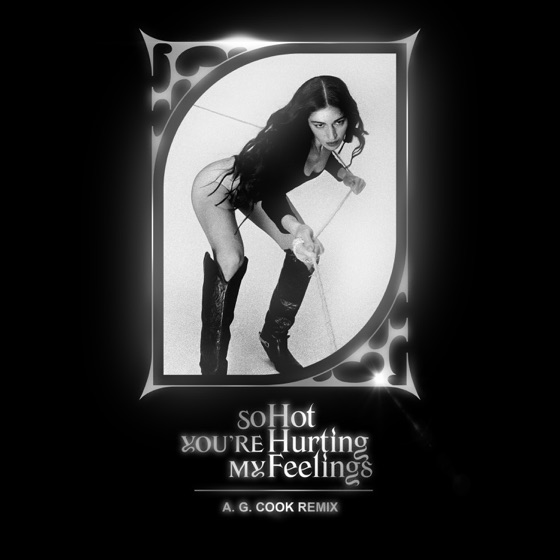 Cover artwork for So Hot You're Hurting My Feelings