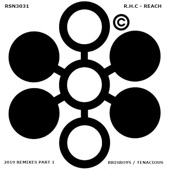 Reach (Brisboys Remix) artwork