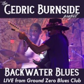 Backwater Blues (Live) artwork