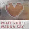 What You Wanna Say (feat. Ollie Wade) - Single album lyrics, reviews, download