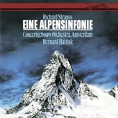 Richard Strauss: Eine Alpensinfonie artwork