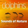 Dolphins album lyrics, reviews, download