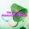 Perros Indelebles - Tin Chi Mai lyrics