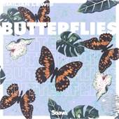 Butterflies artwork