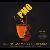 Pacific Mambo Orchestra - Overjoyed (feat. Kenny Washington & Karl Perazzo) feat. Kenny Washington,Karl Perazzo