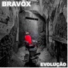 Evolução