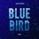 Blue Bird (From "Naruto Shippuden")