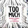Too Much (feat. Usher) [Alle Farben Remix] song lyrics