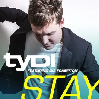 Stay (Frank Pole Remix) [feat. Dia Frampton] by TyDi song reviws