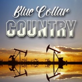 Blue Collar Boys Ride Again artwork