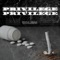 Privilege - Roless lyrics