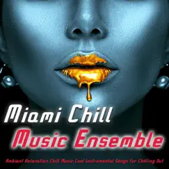 Ambient Relaxation Chill Music Cool Instrumental Songs for Chilling Out by Miami Chill Music Ensemble & Spa album reviews, ratings, credits