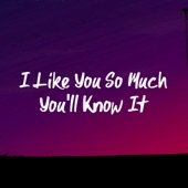I Like You So Much You'll Know It artwork