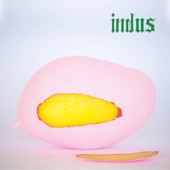 Indus artwork