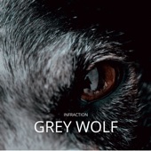 Grey Wolf artwork