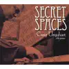 Secret Spaces album lyrics, reviews, download