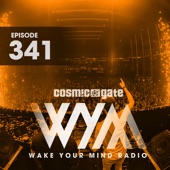 Wake Your Mind Radio 341 artwork