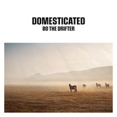 Domesticated (Instrumental Version) artwork