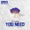 Everything You Need (feat. Timmy G & MC Kado) - D.R.G lyrics