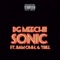 Sonic (feat. Trill & Bam Ohh) - DG Meechii lyrics