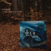 Gnoss - An Orkney Christmas