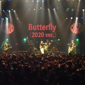 Butterfly (2020 ver.) artwork