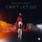 Can't Let Go (feat. Akacia) - METAHESH lyrics