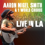 Aaron Nigel Smith - Dance to the Reggae Riddim (Live) [feat. Zion Lion & 1 World Chorus]