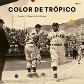 Color de Trópico Vol 2 (Compiled By El Dragón Criollo y El Palmas) artwork