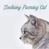 Soothing Purring Cat: Perfect Sounds for Sleep, Relaxation and Stress Relief album lyrics, reviews, download