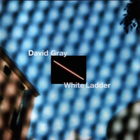 David Gray - White Ladder artwork