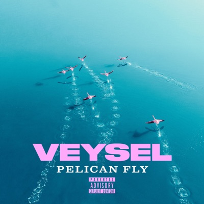 Pelican Fly Veysel Miksu Macloud Shazam