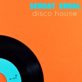 Disco House - EP artwork