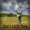 Just a Little Rain