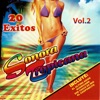 20 Éxitos, Vol. 2 - Incluye: El Último Adiós La Ex La Loba