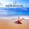 Reiki Healing Waves - Absolutely Relaxing Oasis lyrics