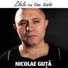 Zilele Cu Tine Toate - Single