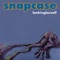 Another's Life - Snapcase lyrics