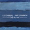 As the Crow Flies - Liz Carroll & Jake Charron lyrics