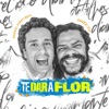 Te Dar a Flor by Rafael Portugal, Onze:20 iTunes Track 1