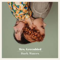 Mrs. Greenbird - Dark Waters artwork