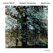 Ludwig van Beethoven: Diabelli-Variationen artwork