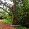 Magic Forest - Single