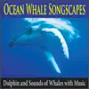 Stream & download Ocean Whale Songscapes (Dolphin and Sounds of Whales with Music)