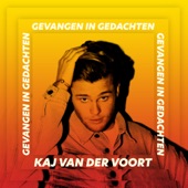 Gevangen In Gedachten artwork