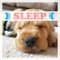 Relieve Stress - Deep Sleep Club lyrics